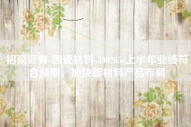 招商证券-国瓷材料-300285-上半年业绩符合预期，加快新材料产品布局