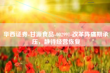 华西证券-甘源食品-002991-改革阵痛期承压，静待经营恢复
