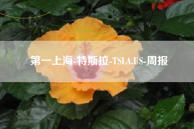 第一上海-特斯拉-TSLA.US-周报