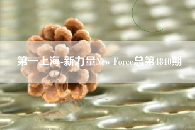 第一上海-新力量New Force总第4840期