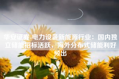 华安证券-电力设备新能源行业：国内独立储能招标活跃，海外分布式储能利好频出