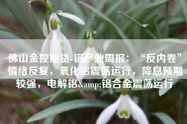 佛山金控期货-铝产业周报：“反内卷”情绪反复，氧化铝震荡运行，降息预期较强，电解铝&铝合金震荡运行
