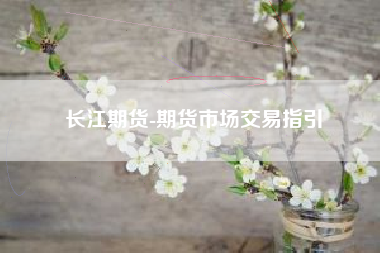长江期货-期货市场交易指引