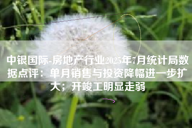 中银国际-房地产行业2025年7月统计局数据点评：单月销售与投资降幅进一步扩大；开竣工明显走弱
