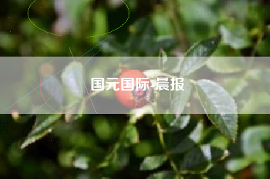 国元国际-晨报