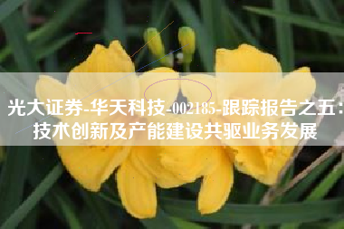 光大证券-华天科技-002185-跟踪报告之五：技术创新及产能建设共驱业务发展