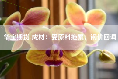 华宝期货-成材：受原料拖累，钢价回调