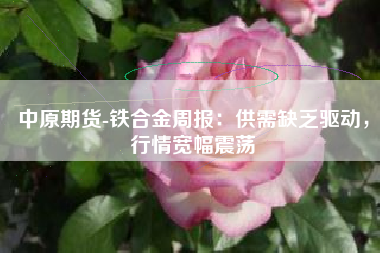 中原期货-铁合金周报：供需缺乏驱动，行情宽幅震荡