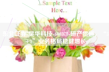 东北证券-昊华科技-600378-研产贯通，“3+1”业务格局稳健增长