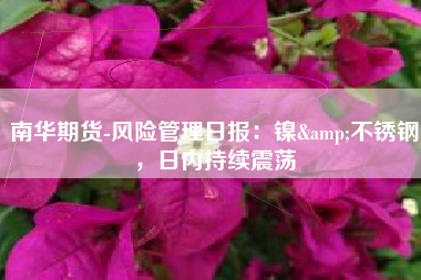 南华期货-风险管理日报：镍&不锈钢，日内持续震荡