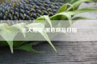 光大期货-黑色商品日报