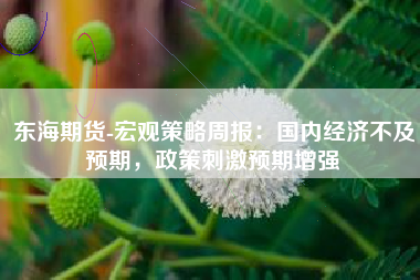 东海期货-宏观策略周报：国内经济不及预期，政策刺激预期增强
