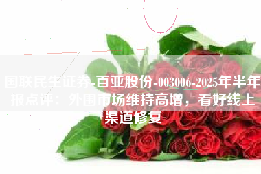 国联民生证券-百亚股份-003006-2025年半年报点评：外围市场维持高增，看好线上渠道修复