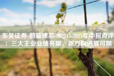东吴证券-蔚蓝锂芯-002245-2025年中报点评：三大主业业绩亮眼，新方向进展可期