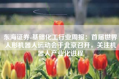 东海证券-基础化工行业周报：首届世界人形机器人运动会于北京召开，关注机器人产业化进程