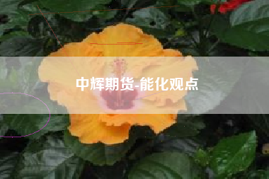 中辉期货-能化观点