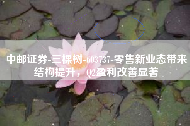 中邮证券-三棵树-603737-零售新业态带来结构提升，Q2盈利改善显著