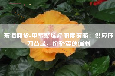 东海期货-甲醇聚烯烃周度策略：供应压力凸显，价格震荡偏弱