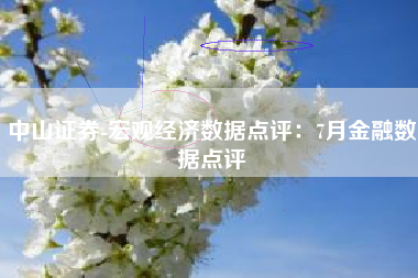 中山证券-宏观经济数据点评：7月金融数据点评