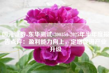 国元证券-东华测试-300354-2025年半年度报告点评：盈利能力向上，定增促进产业升级