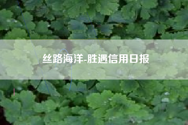 丝路海洋-胜遇信用日报