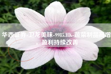华西证券-卫龙美味-9985.HK-蔬菜制品高增，盈利持续改善