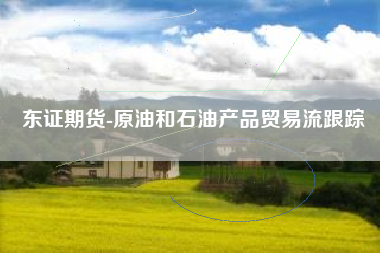 东证期货-原油和石油产品贸易流跟踪