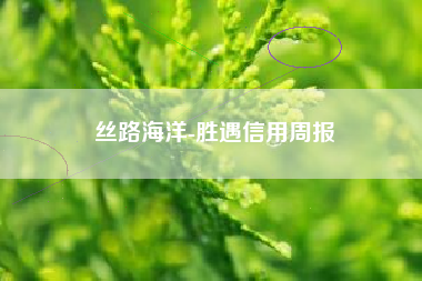 丝路海洋-胜遇信用周报