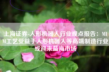 上海证券-人形机器人行业观点报告：MIM工艺受益于人形机器人等高端制造行业或迎来蓝海市场