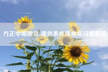 方正中期期货-黑色系焦煤焦炭日度策略