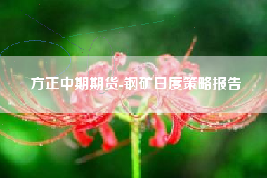 方正中期期货-钢矿日度策略报告