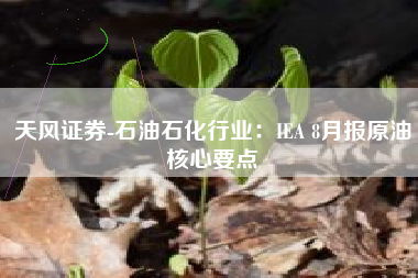 天风证券-石油石化行业：IEA 8月报原油核心要点