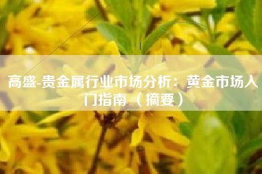 高盛-贵金属行业市场分析：黄金市场入门指南 （摘要）
