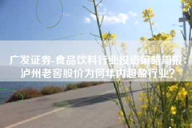 广发证券-食品饮料行业投资策略周报：泸州老窖股价为何年内超盈行业？