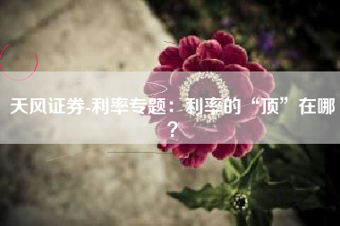 天风证券-利率专题：利率的“顶”在哪？