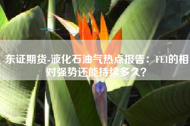东证期货-液化石油气热点报告：FEI的相对强势还能持续多久？