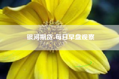 银河期货-每日早盘观察