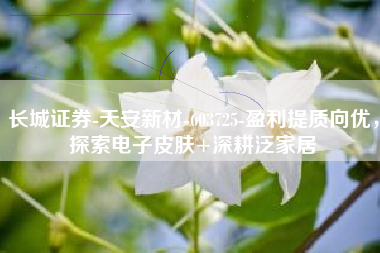 长城证券-天安新材-603725-盈利提质向优，探索电子皮肤+深耕泛家居