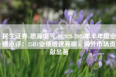 民生证券-思源电气-002028-2025年半年度业绩点评：25H1业绩增速亮眼，海外市场贡献显著
