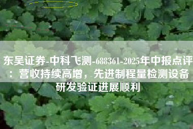 东吴证券-中科飞测-688361-2025年中报点评：营收持续高增，先进制程量检测设备研发验证进展顺利