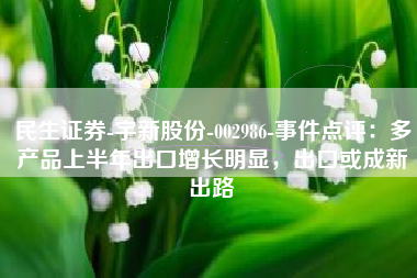 民生证券-宇新股份-002986-事件点评：多产品上半年出口增长明显，出口或成新出路