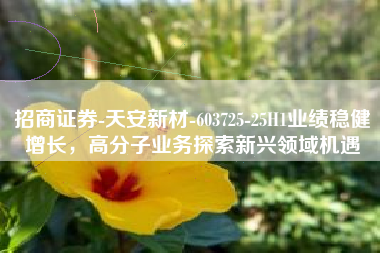 招商证券-天安新材-603725-25H1业绩稳健增长，高分子业务探索新兴领域机遇