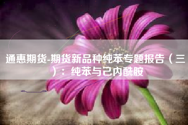 通惠期货-期货新品种纯苯专题报告（三）：纯苯与己内酰胺