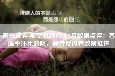 东兴证券-航空机场行业7月数据点评：客座率环比略降，静待反内卷政策推进