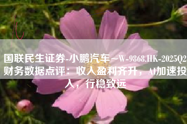 国联民生证券-小鹏汽车~W-9868.HK-2025Q2财务数据点评：收入盈利齐升，AI加速投入，行稳致远