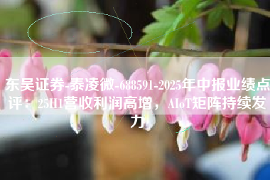东吴证券-泰凌微-688591-2025年中报业绩点评：25H1营收利润高增，AIoT矩阵持续发力