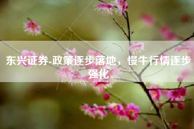 东兴证券-政策逐步落地，慢牛行情逐步强化