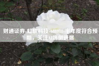 财通证券-虹软科技-688088-半年度符合预期，关注AI端侧进展