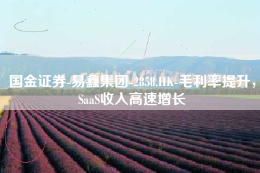 国金证券-易鑫集团-2858.HK-毛利率提升，SaaS收入高速增长