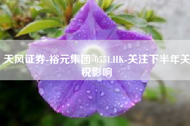 天风证券-裕元集团-0551.HK-关注下半年关税影响